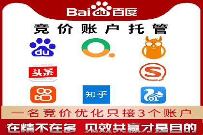初探SEM推广代运营的多种成功模式